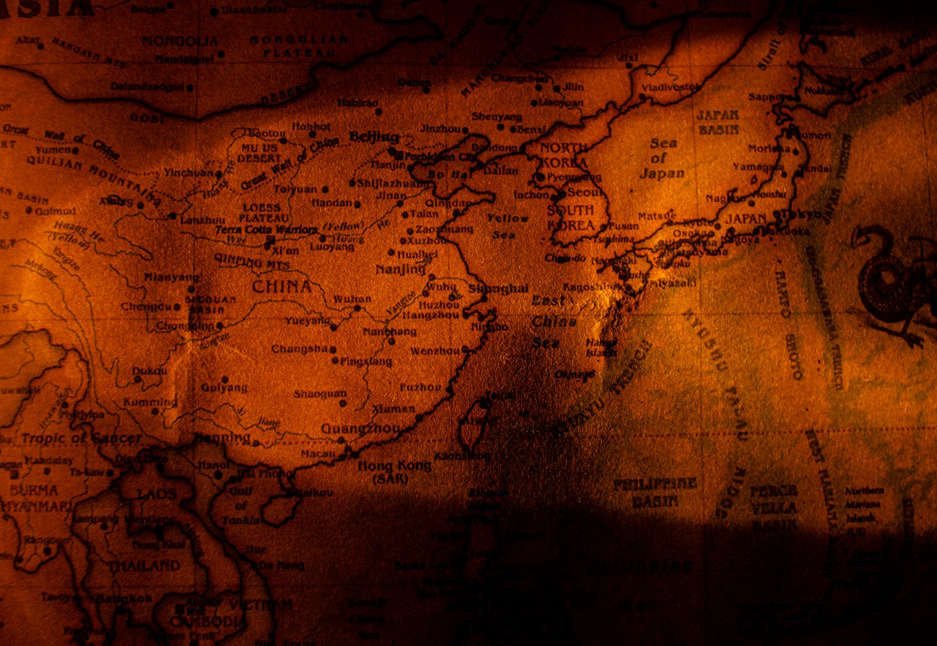 留学服务信息比较场景