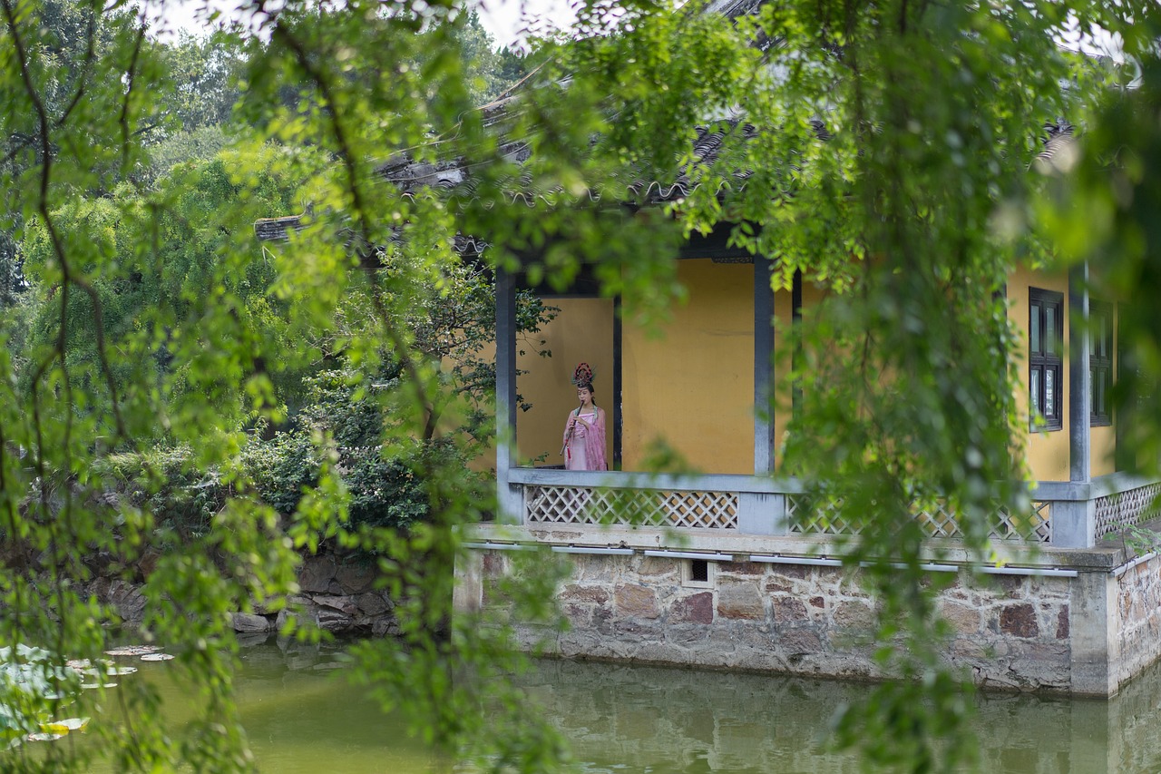 留学服务信息比较场景